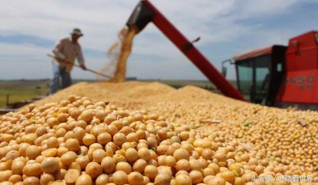 美國大豆出口大會閉幕，中國買家一顆沒買